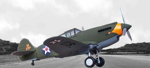 Model of 57th Pursuit Group P-40