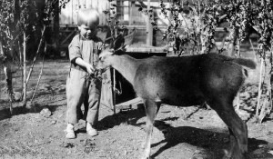 Bobby with his pet deer, 1919