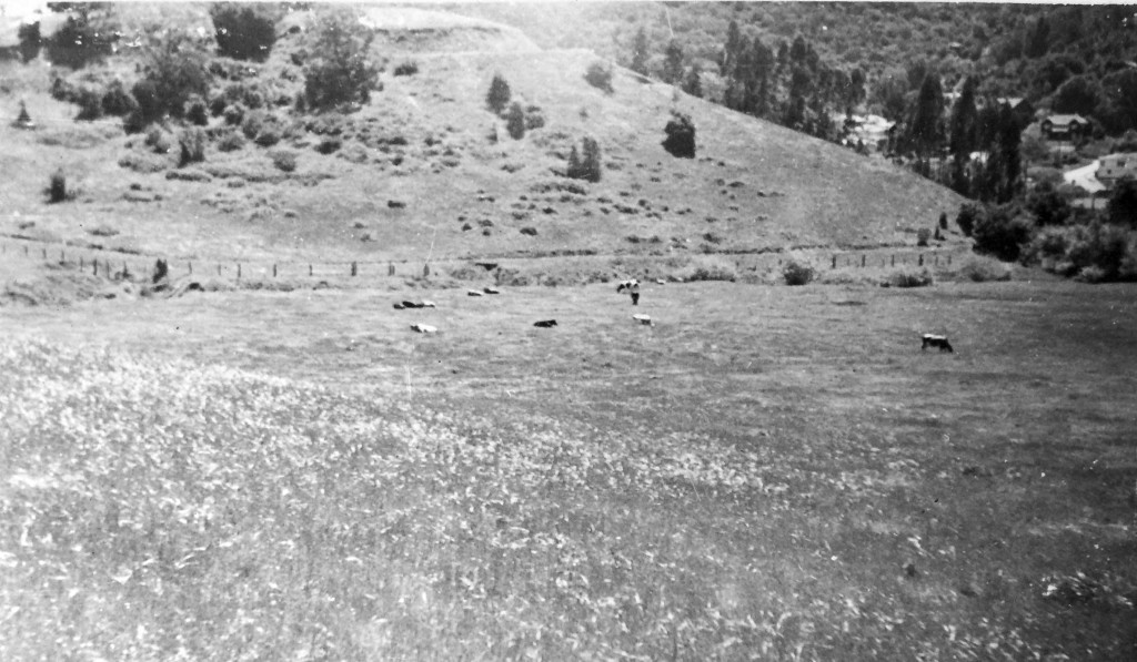 Hilldale Park before subdivision, May 1942. 